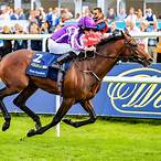 biggest horse bet win